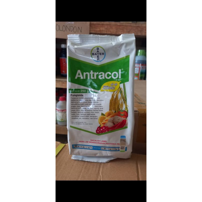 antracol 500gr