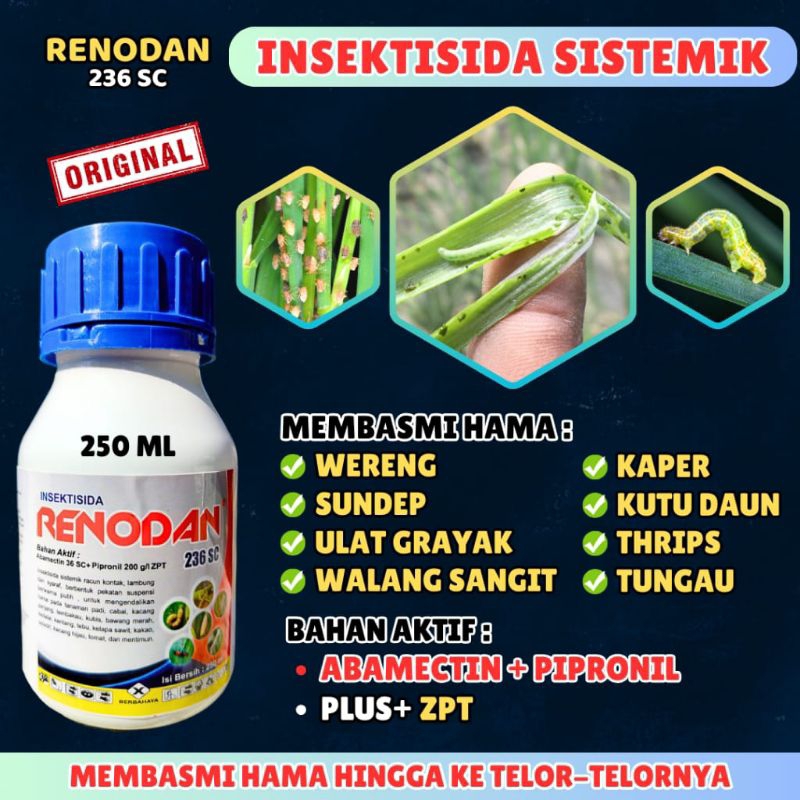INSEKTISIDA RENODAN SISTEMIK PEMBASMI HAMA WERENG, WALANG SANGIT, SUNDEP, DLL