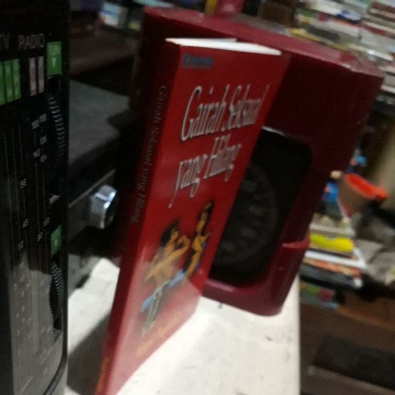 GAIRAH SEKSUAL YANG HILANG_WIMPIE PANGKAHILA