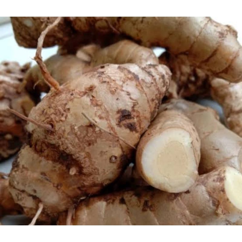 

Temulawak putih parut organik berat 100gr rempah nusantara