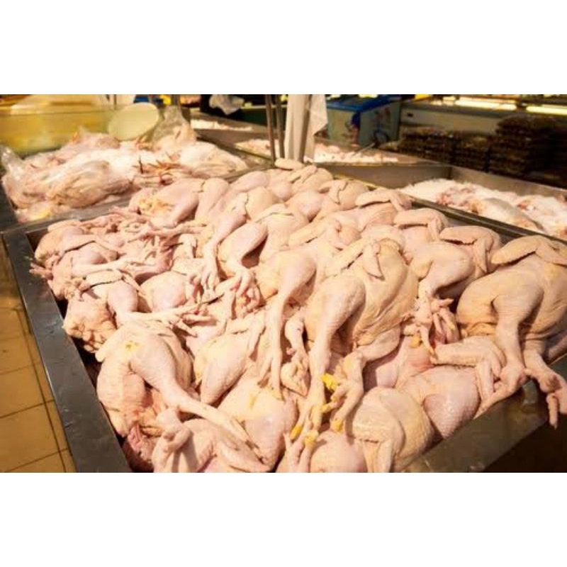 

Ayam segar fresh boiler/ ayam negeri fresh segar pasar pagi flamboyan segar 2kg/ ayam negeri pasar pagi flamboyan 2kg