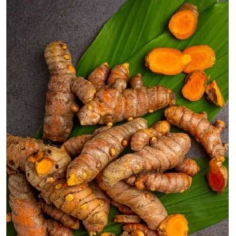 

KUNYIT KUNIR SEGAR FRESH DARI KEBUN