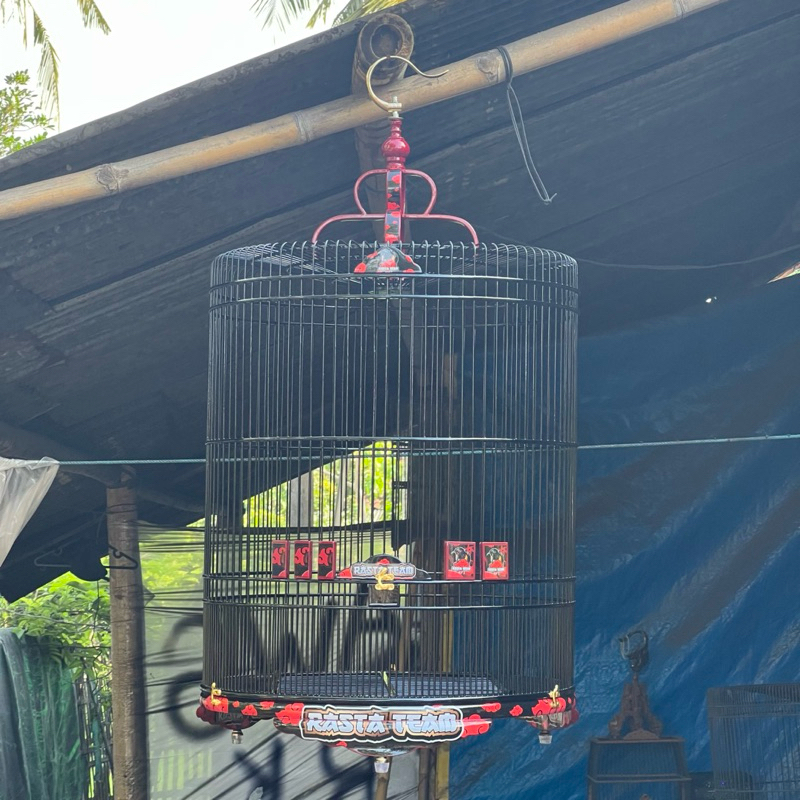 sangkar murai ceper custom decal