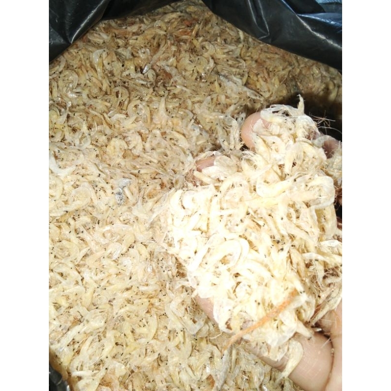 

kecepe asli tanjung balai