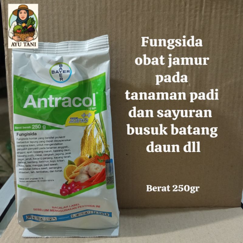 ANTRACOL 70WP 250gram