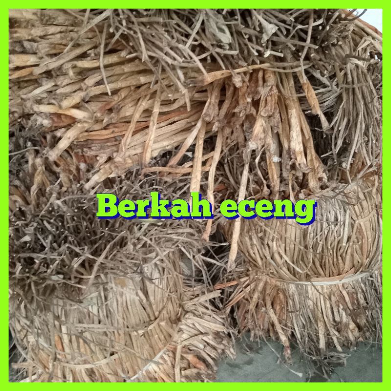1kg batang eceng gondok kering/perkilo bahan kerajinan placemate placemat eceng gondok kering