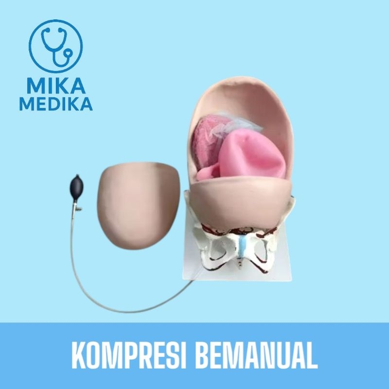 Phantom Manikin Kompresi Bemanual Kbi Kbe / Alat Peraga Manekin Kompres Bemanual Kbi Kbe / Phantom M