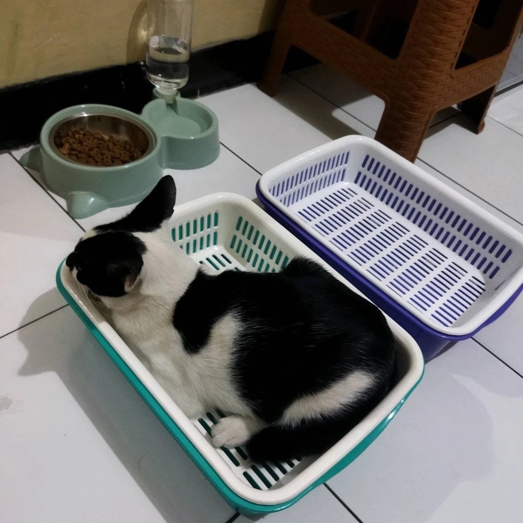 Baskom Numan Kotak + Saringan / saringan pup kucing peliharaan / bak kotoran kucing / baskom saringa
