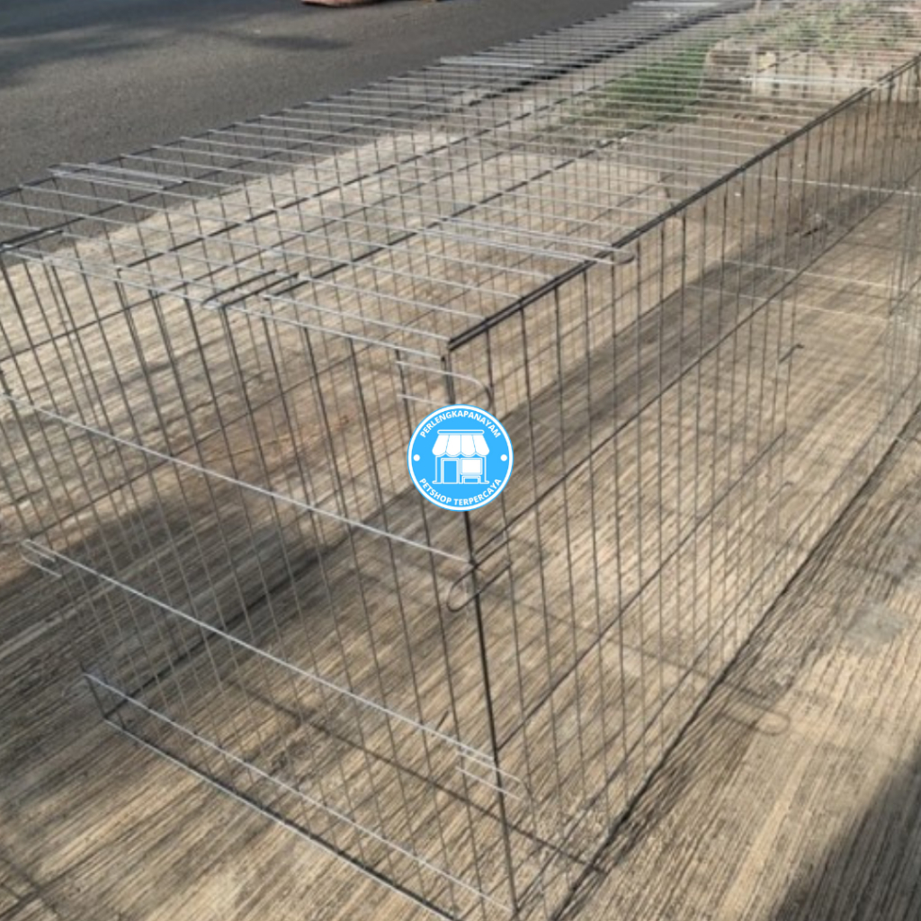 KURUNGAN GALVANIS UMBARAN Kurungan Ayam Jago Bangkok 2M Kurungan Galvanis