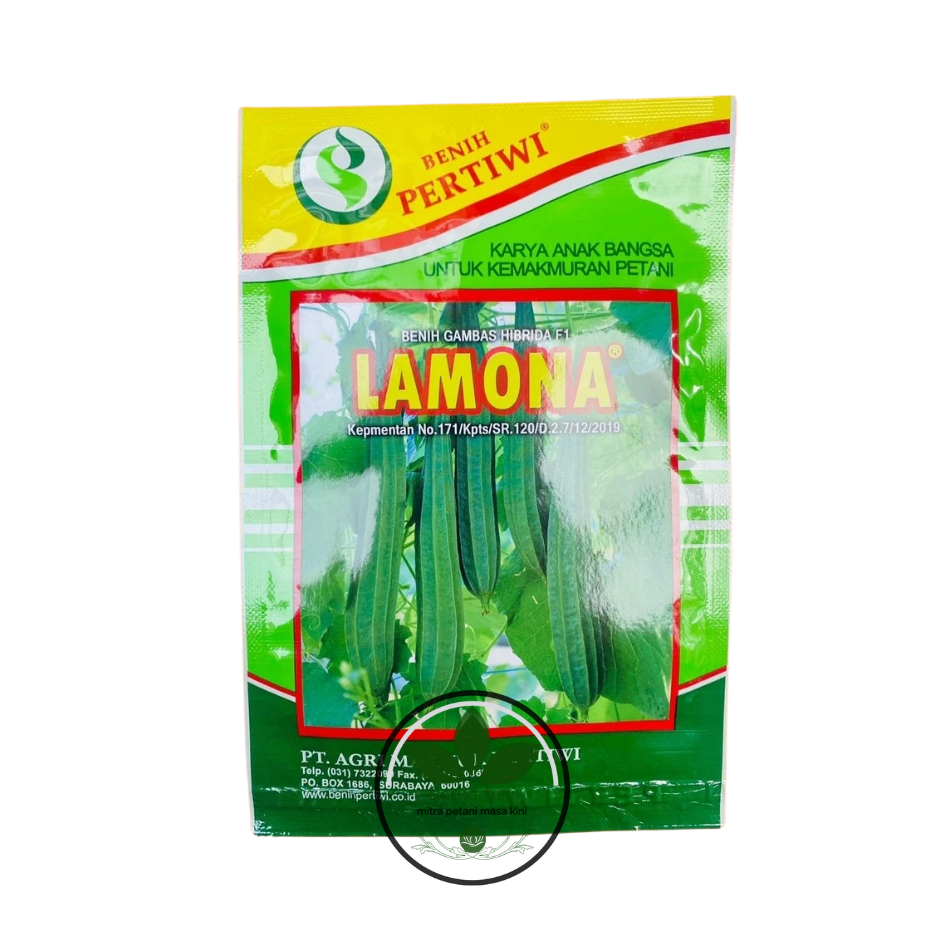 Benih - BENIH GAMBAS OYONG HIBRIDA F1 LAMONA dr PERTIWI