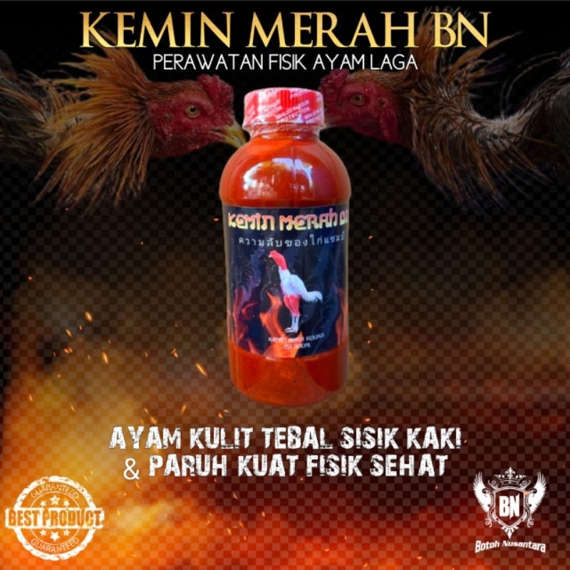 KEMIN CAIR AYAM MERAH BN perawatan fisik ayam laga