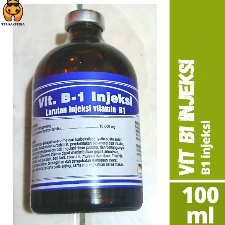 KODE Y29H Vit B1 injeksi  Obat Lumpuh  B1 1ml Obat Hewan