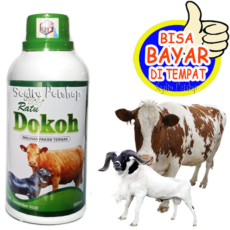 Vitamin Sapi Kambing Penambah Nafsu Makan Gemuk Probiotik Ratu Dokoh