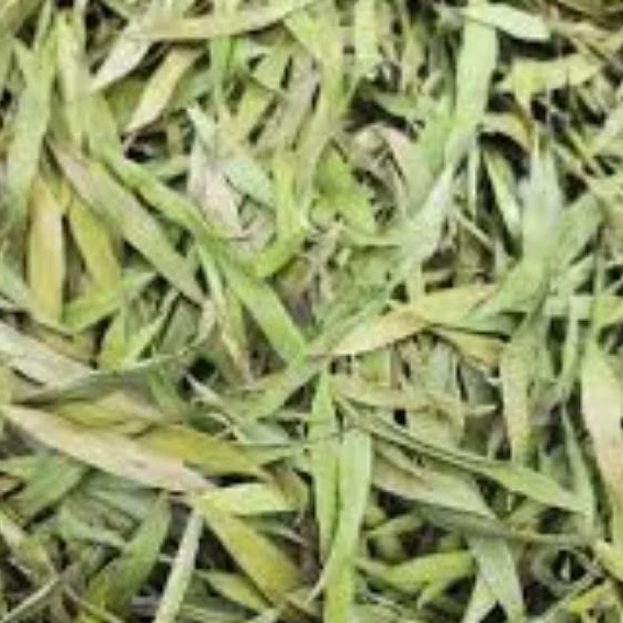 

Daun kayu putih kering 500 Gram