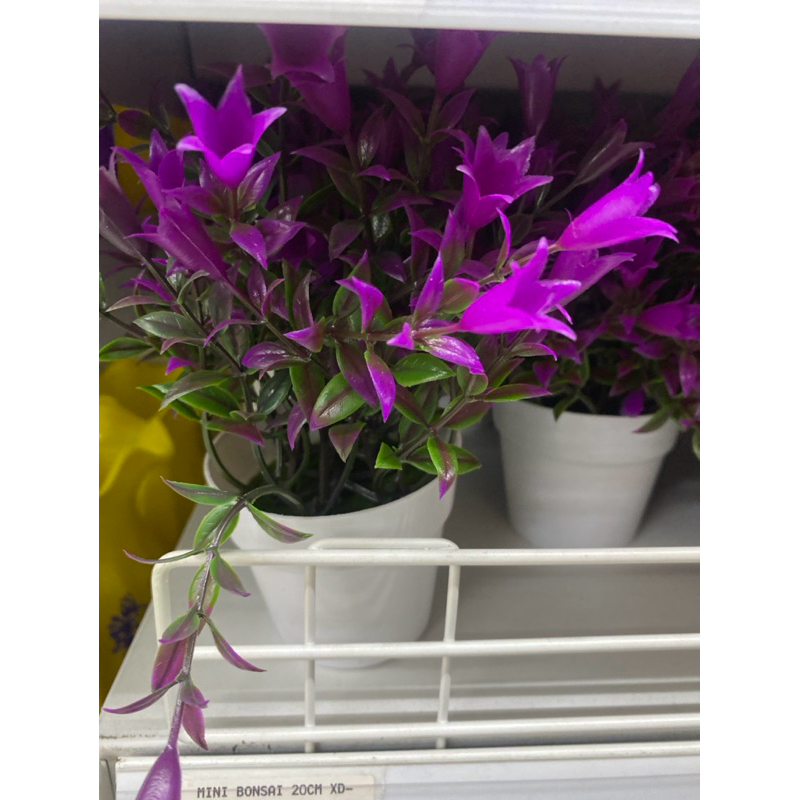 bunga bongsai plastik mini bongsai