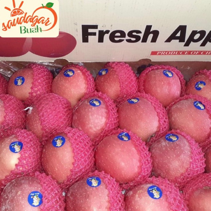 

BISA COD BUAH APEL FUJI RRC MANIS UNTUK JUS 1KG
