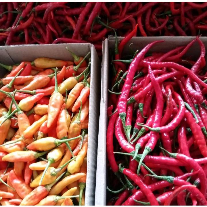 

Cabe Merah Keriting & Cabe Rawit Merah Berat 1 Kg Paket Campur Termurah