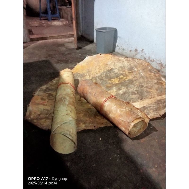 kulit sapi bahan jamang barongan