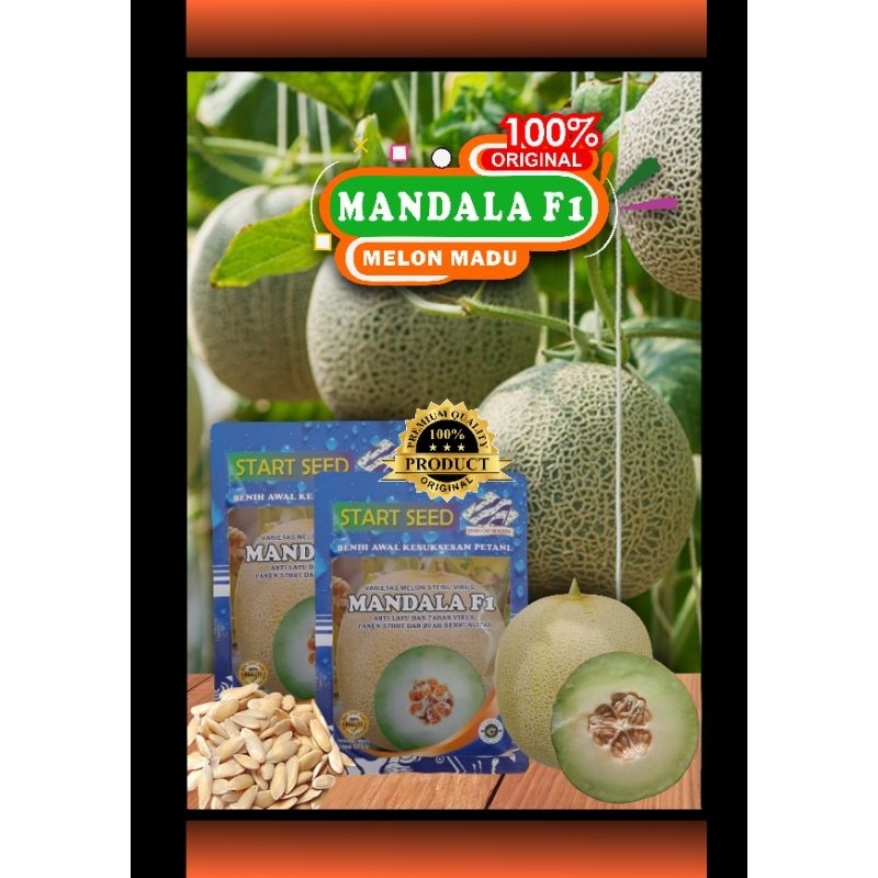 Benih Melon Madu Mandala F1