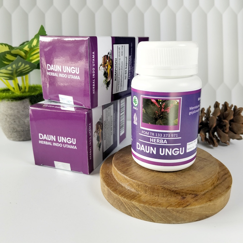 DAUN UNGU Herbal Indo Utama HIU / Obat Herbal Daun Ungu