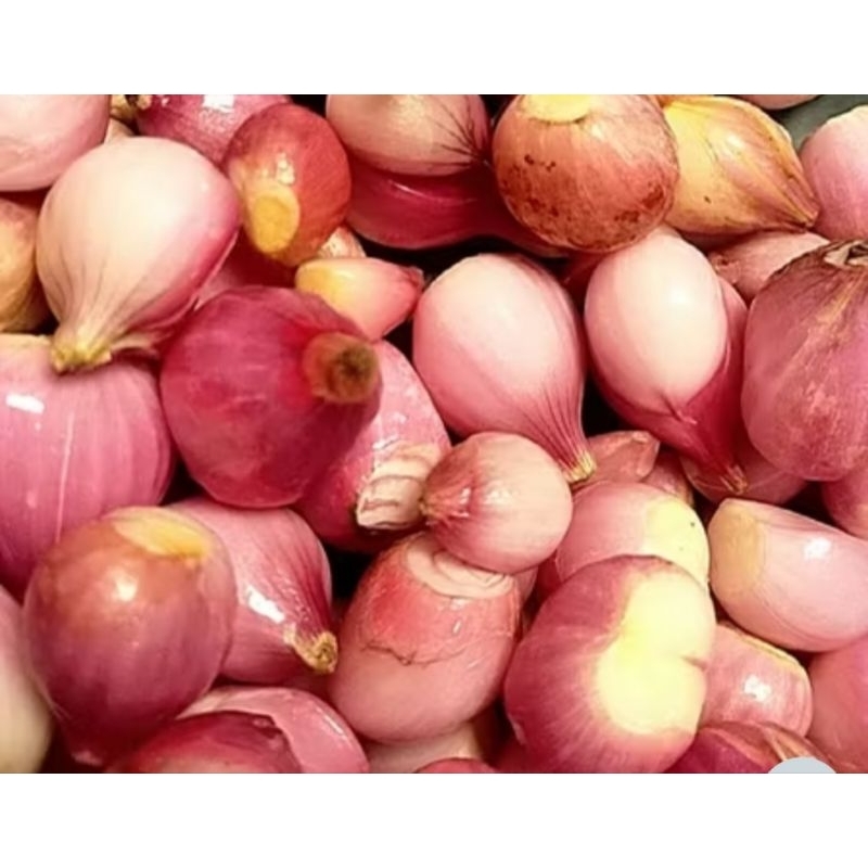 

CSQ BAWANG MERAH KUPAS FRESH PREMIUM 250 GRAM