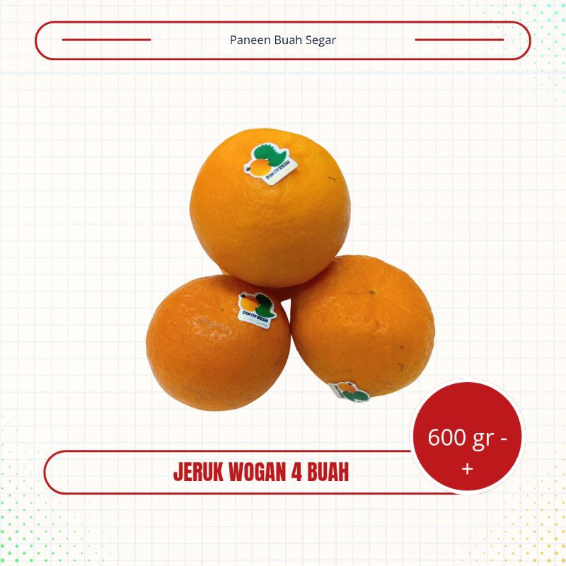 

Jeruk manis Wogan Dino Fresh Manis wokam manis