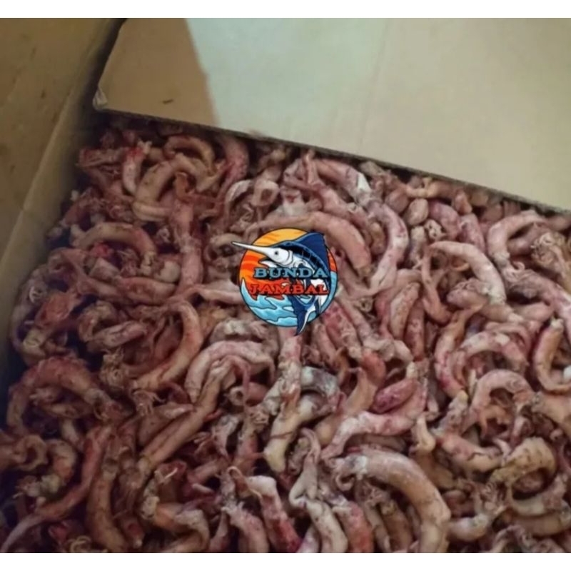 

Termurah 1kg ikan asin cumi telor kualitas terbaik