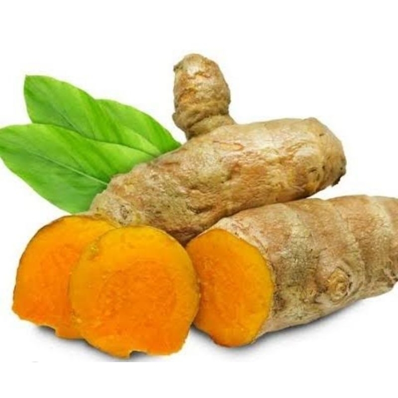 

Temulawak segar organik fresh 500 gram