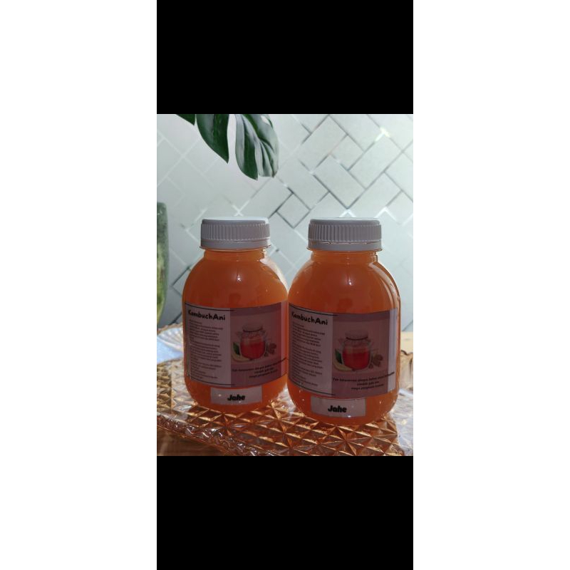 

Kombucha Black Tea Original