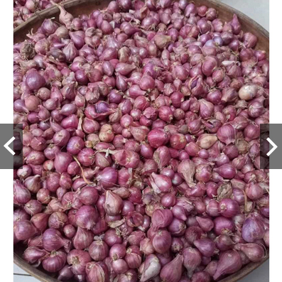 

bawang merah probolinggo kemasan 500 gram