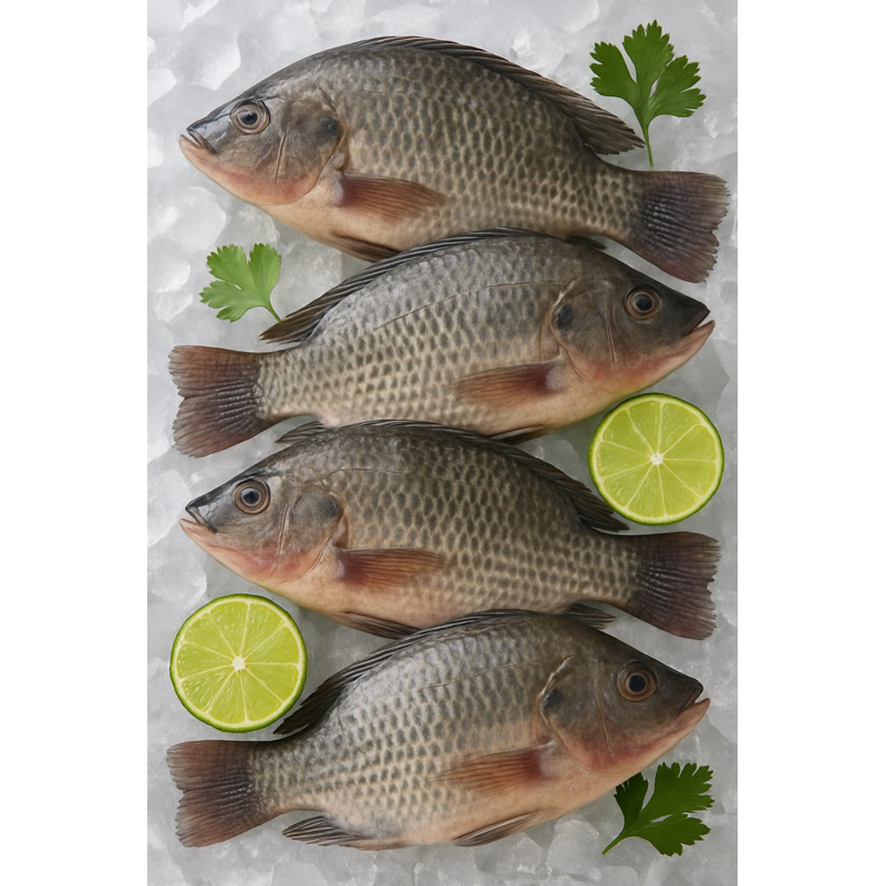 

Ikan nila fresh | mujair | 1kg