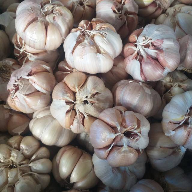 

Bawang Putih bersih kemasan 1 kg