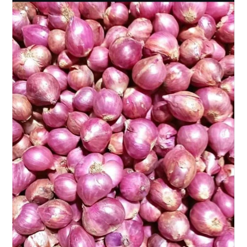 

bawang merah kulit