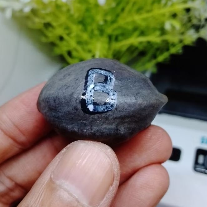 Muncang Adu Anak 4G Deuman kode B