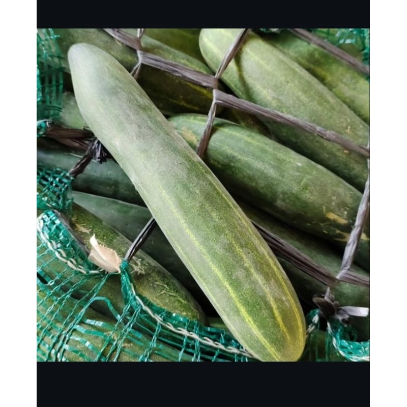 

timun sayur/komsumsi fress 500gram