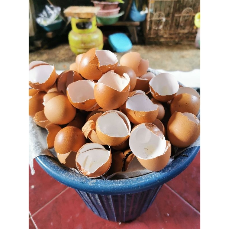 

Kulit telur / cangkang telur 500gr