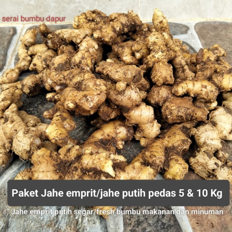 

PAKET JAHE EMPRIT/ PUTIH BUMBU MAKANAN DAN MINUMAN 5 & 10 KG