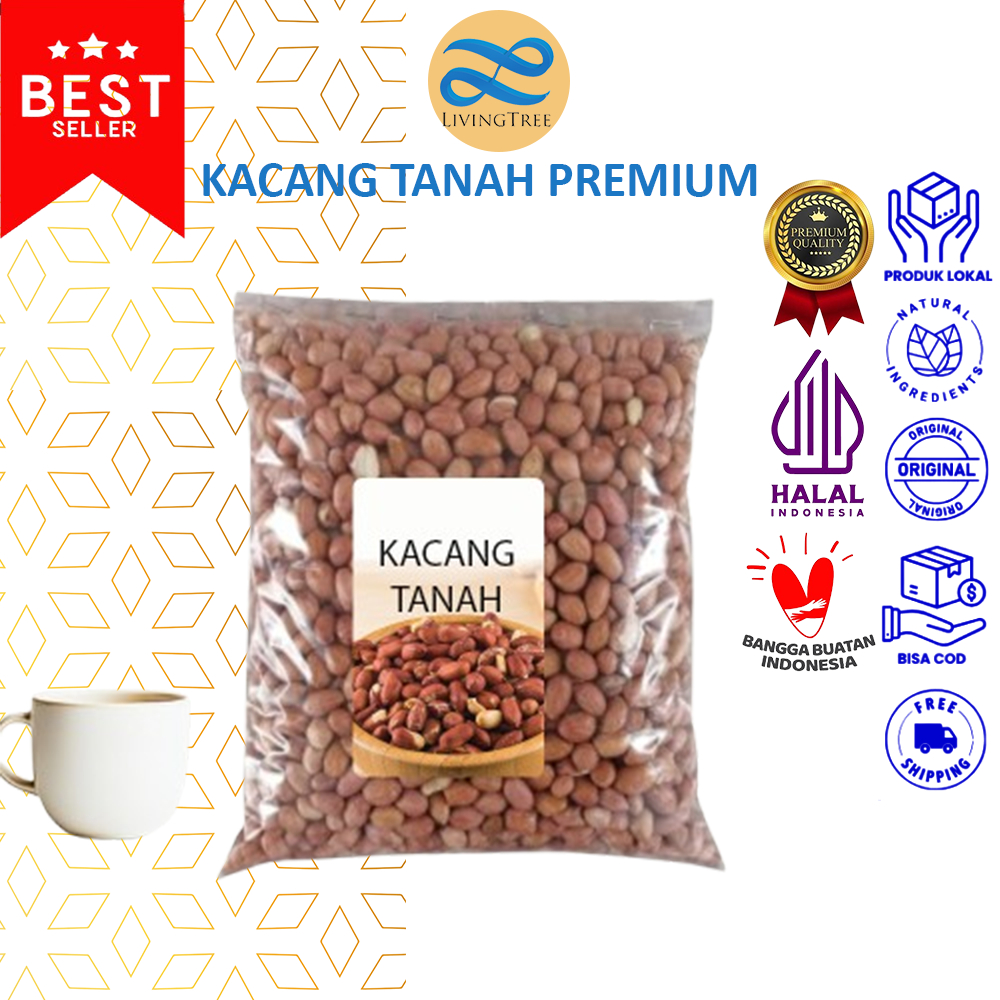 

Kacang Tanah Kulit Mentah 500gr kinned Peanut Kernel Raw Akarlangit