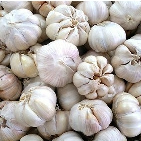 

Bawang Putih Honan bersih dan kotor