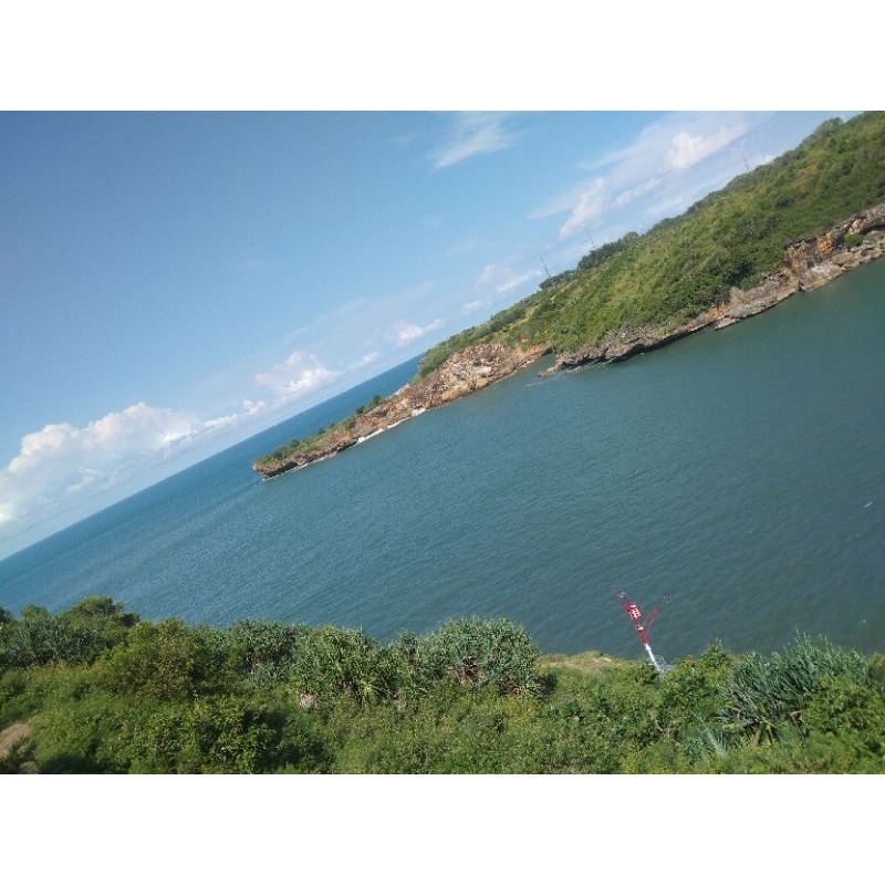 

madu 100rb-200rb flash Sale terbatas