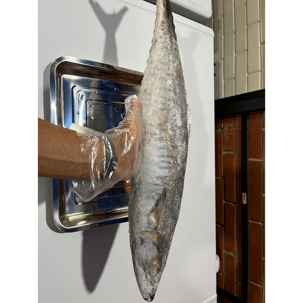 

Ikan Tenggiri Utuh Beku 2 KG