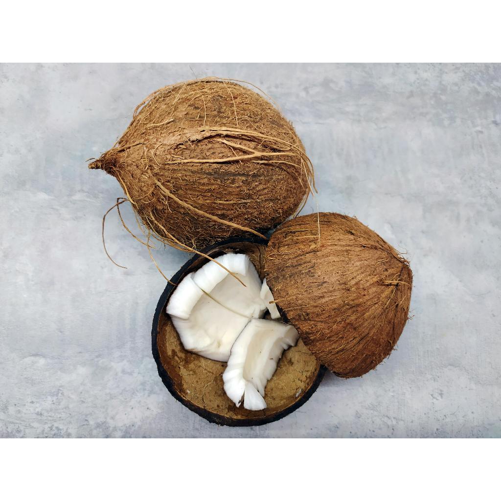 

Nn1 KELAPA TUA / KELAPA PARUT/ KELAPA TUA KUPAS/BERKUALITAS