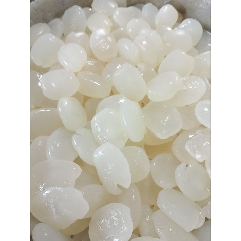 

kolang kaling fresh 1 kg