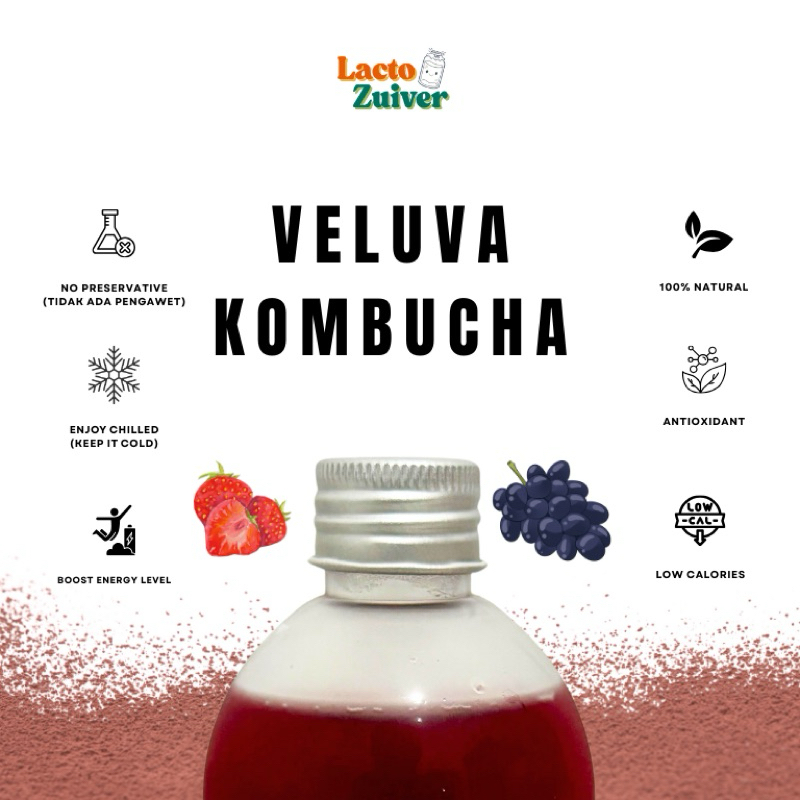 

Veluva Kombucha 250 mL