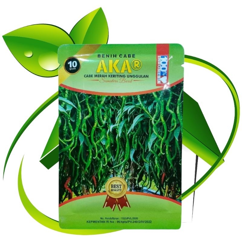 COD Cabe Akar Tahan Virus Lokal Unggul Payakumbuh Original