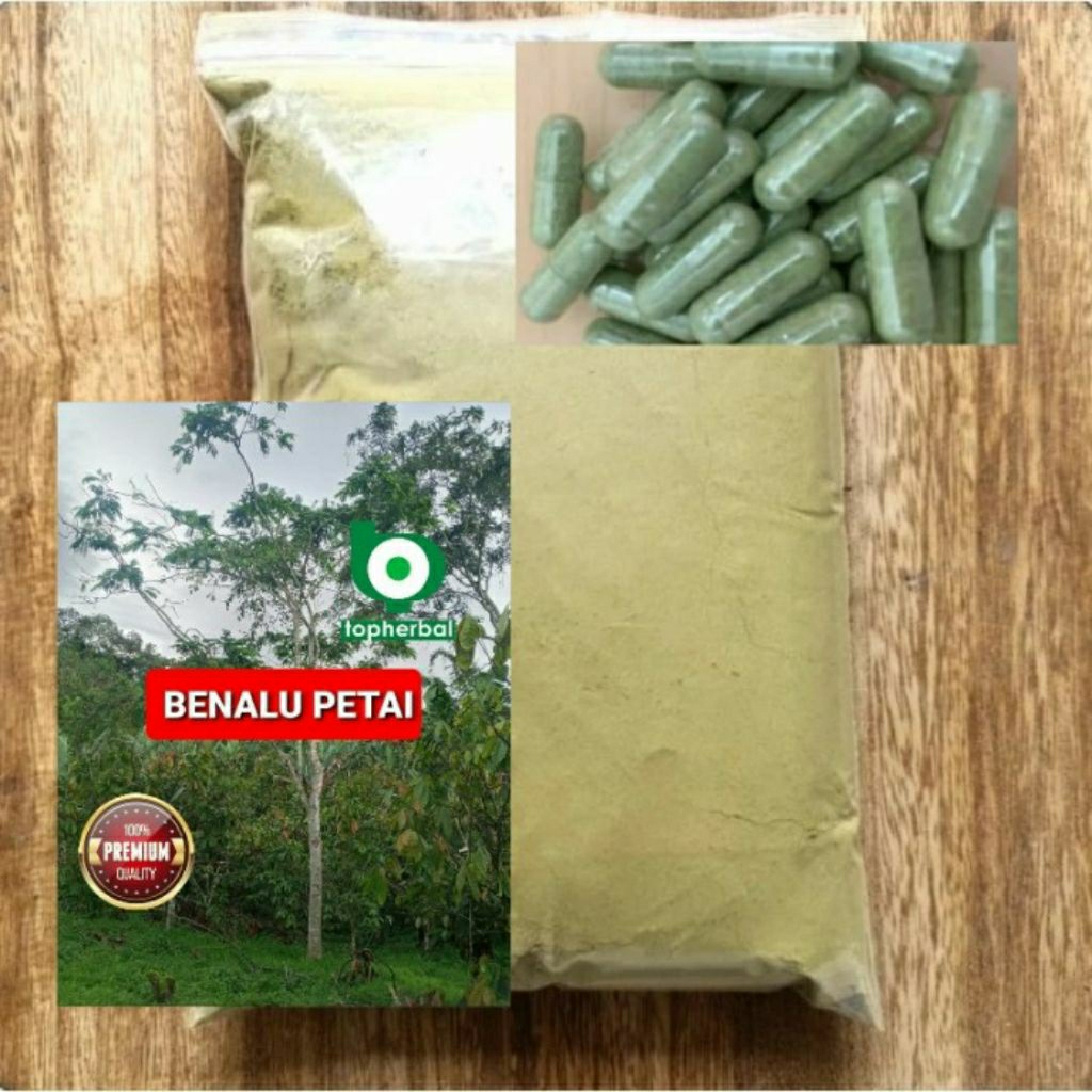 

Kapsul Benalu Petai isi 100 Kapsul (Kering Hijau Organik Super Premium)