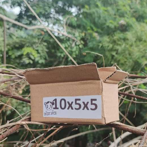 

Termurah Kardus Packing 10x5x5