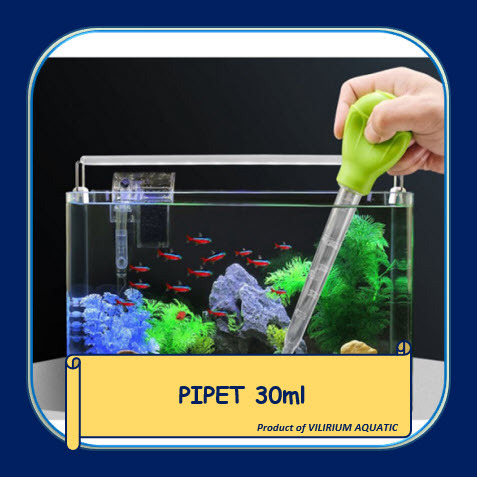 PERLENGKAPAN AQUARIUM - PIPET BESAR (ALAT FEEDING IKAN HIAS / ALAT PEMBERSIH POOP IKAN) ALAT SEDOT K