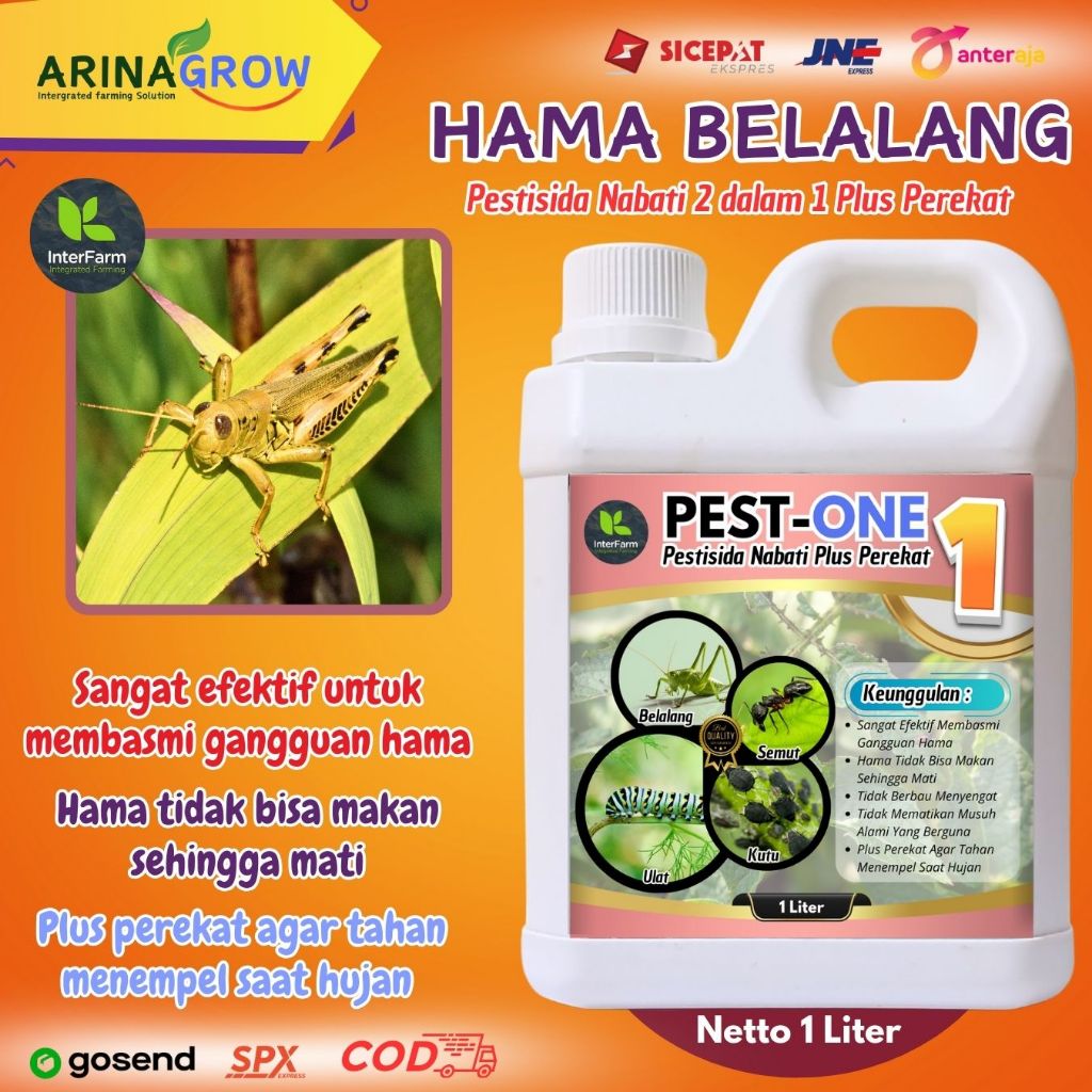 Obat Hama Belalang / Pestisida Nabati | Obat Belalang Ampuh / Antihama PESTONE 1 Liter / Obat Padi