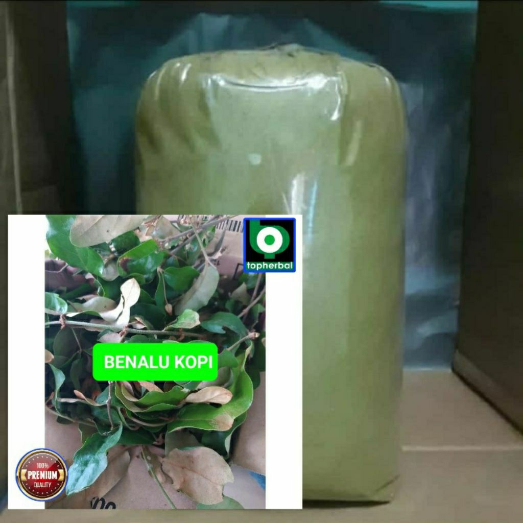 

Bubuk Benalu Kopi Hutan 1 Kg/1000 Gram Kering Hijau Organik Super Premium